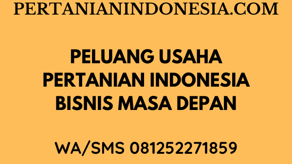 PELUANG USAHA PERTANIAN INDONESIA, BISNIS MASA DEPAN